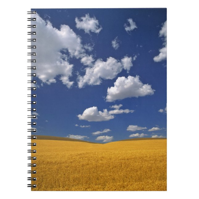 USA, Washington State, Colfax. Ripe barley meets Notebook (Front)