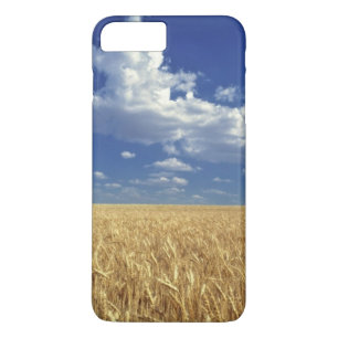 USA, Washington State, Colfax. Ripe wheat iPhone 8 Plus/7 Plus Case