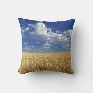 USA, Washington State, Colfax. Ripe wheat Cushion