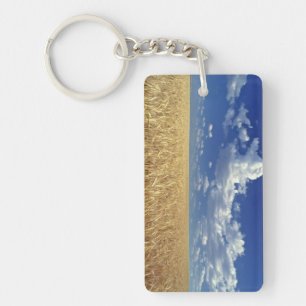 USA, Washington State, Colfax. Ripe wheat Key Ring