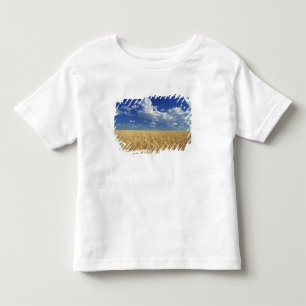 USA, Washington State, Colfax. Ripe wheat Toddler T-Shirt