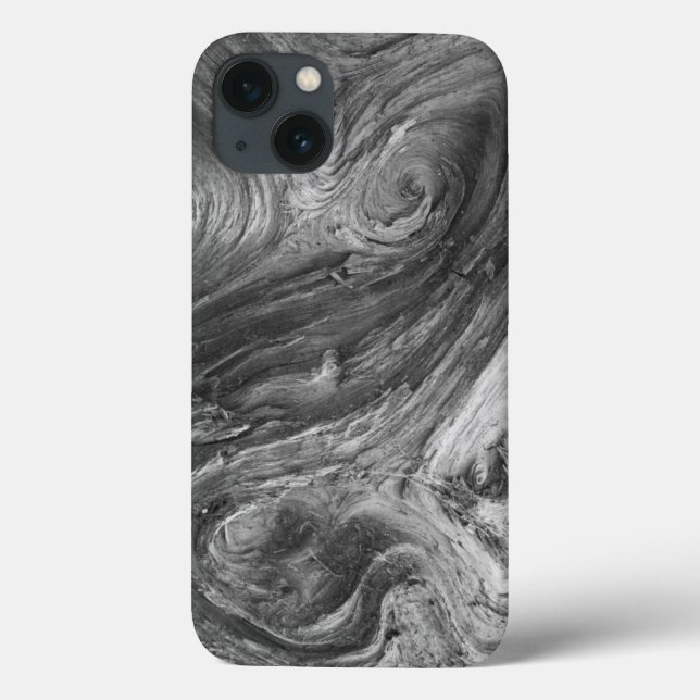 USA, Washington State. Douglass Fir Case-Mate iPhone Case (Back)
