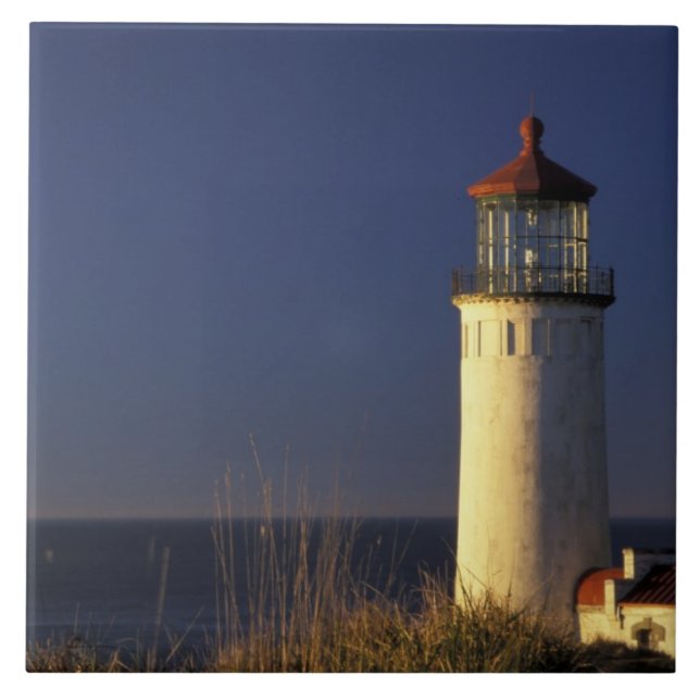 USA, Washington State, Fort Canby State Park. Tile (Front)