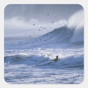 USA, Washington State, La Push. Man kayak Square Sticker