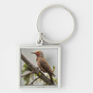 USA, Washington State. Male Northern Flicker 2 Key Ring