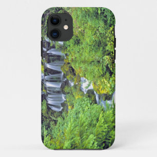 USA, Washington State, Mt Adams Wilderness. Twin iPhone 11 Case