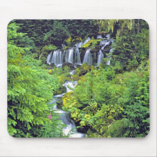USA, Washington State, Mt Adams Wilderness. Twin Mouse Mat
