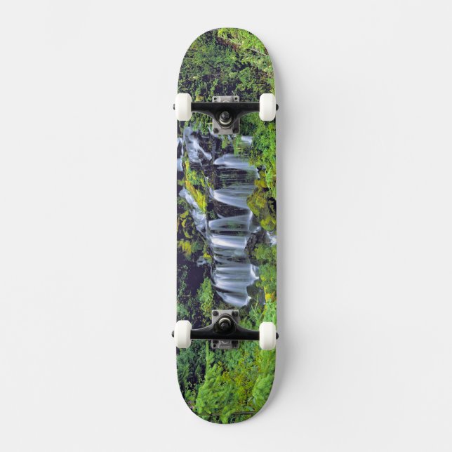 USA, Washington State, Mt Adams Wilderness. Twin Skateboard (Front)