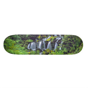 USA, Washington State, Mt Adams Wilderness. Twin Skateboard