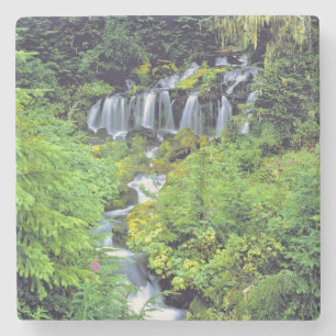 USA, Washington State, Mt Adams Wilderness. Twin Stone Coaster