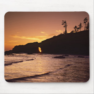 USA, Washington State, Olympic National Park. 2 Mouse Mat