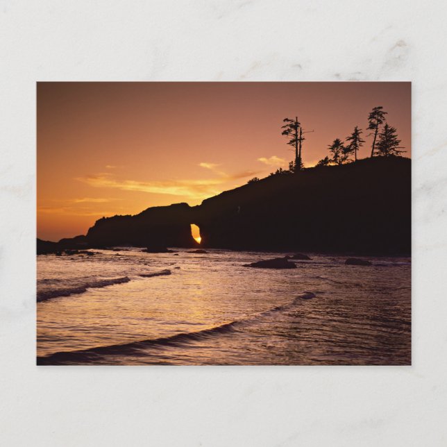 USA, Washington State, Olympic National Park. 2 Postcard (Front)