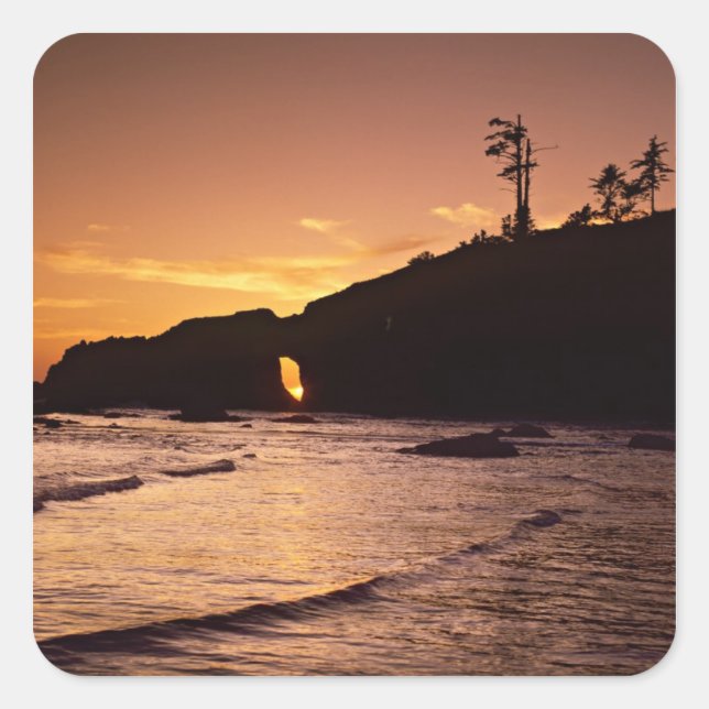 USA, Washington State, Olympic National Park. 2 Square Sticker (Front)