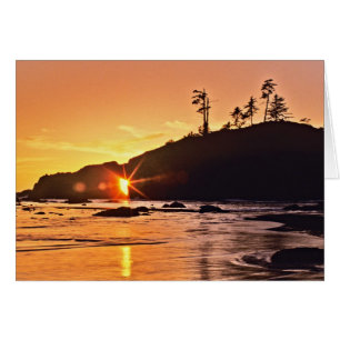 USA, Washington State, Olympic National Park. 3