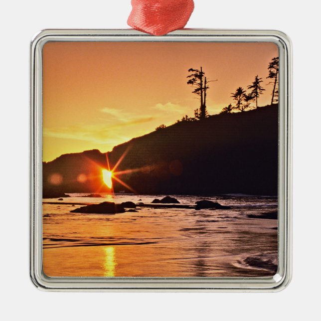 USA, Washington State, Olympic National Park. 3 Metal Tree Decoration (Front)