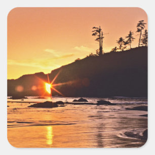 USA, Washington State, Olympic National Park. 3 Square Sticker