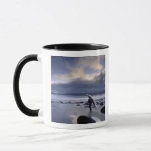 USA, Washington State, Olympic National Park. Mug