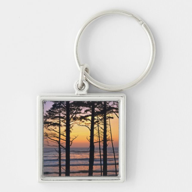 USA, Washington State, Olympic NP. Delicate Key Ring (Front)
