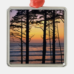 USA, Washington State, Olympic NP. Delicate Metal Tree Decoration