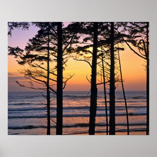 USA, Washington State, Olympic NP. Delicate Poster (Front)