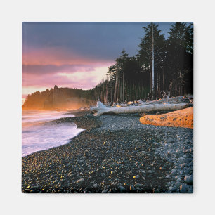 USA, Washington State, Olympic NP. Waves lap the Magnet
