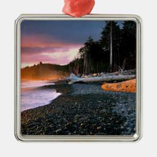USA, Washington State, Olympic NP. Waves lap the Metal Tree Decoration