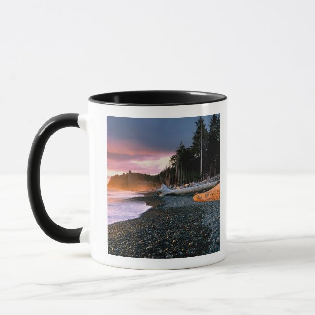 USA, Washington State, Olympic NP. Waves lap the Mug (Left)