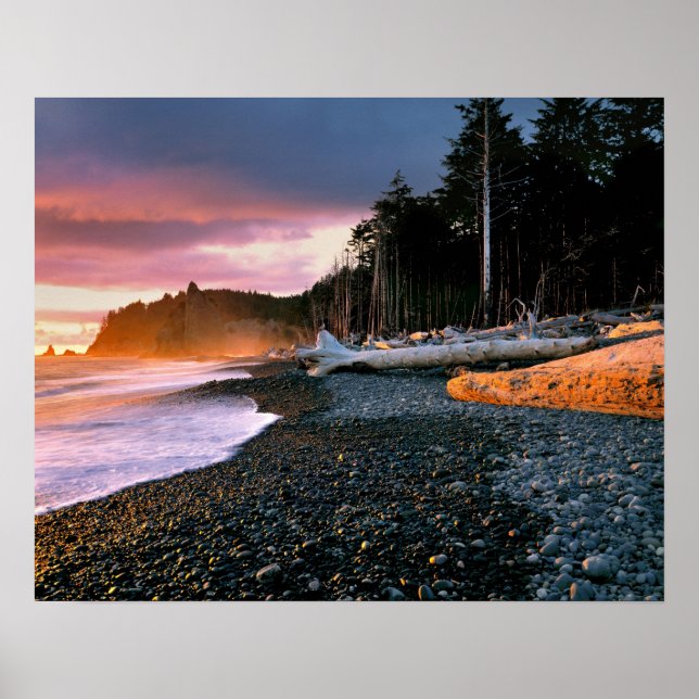 USA, Washington State, Olympic NP. Waves lap the Poster (Front)