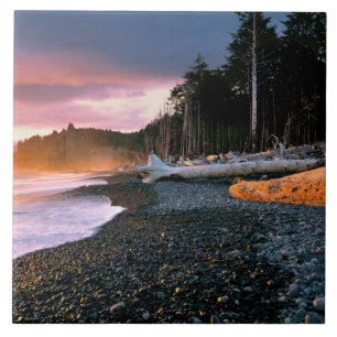 USA, Washington State, Olympic NP. Waves lap the Tile