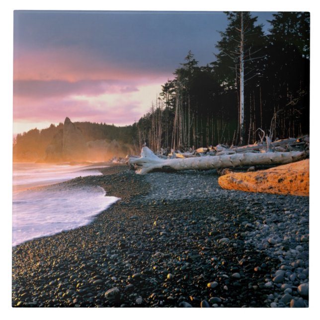 USA, Washington State, Olympic NP. Waves lap the Tile (Front)