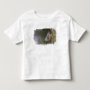 USA, Washington State, Red-brested Nuthatch, Toddler T-Shirt