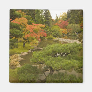 USA, Washington State, Seattle. Japanese Magnet