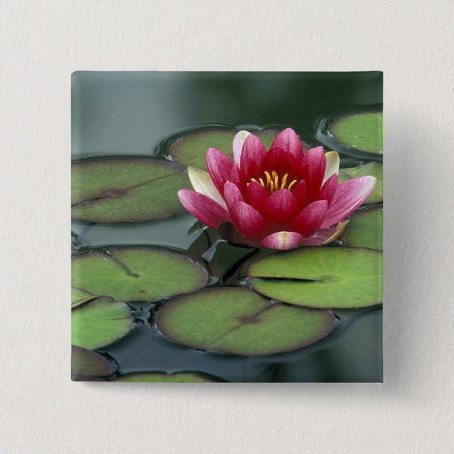 USA, Washington State, Seattle. Water lily and 15 Cm Square Badge (Front)