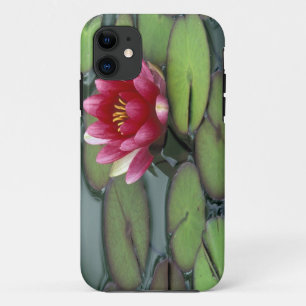 USA, Washington State, Seattle. Water lily and iPhone 11 Case