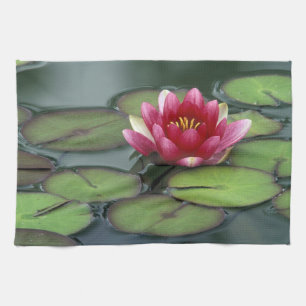 USA, Washington State, Seattle. Water lily and Tea Towel