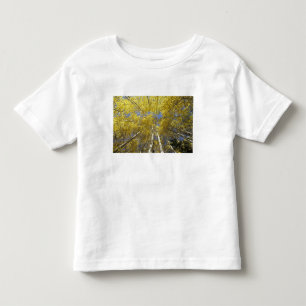 USA, Washington, Stevens Pass Fall-coloured aspen Toddler T-Shirt