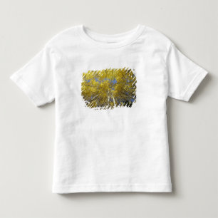 USA, Washington, Stevens Pass Fall-coloured aspen Toddler T-Shirt