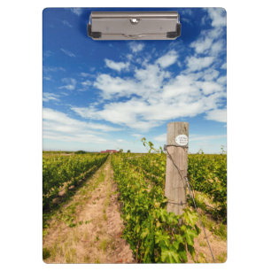 USA, Washington, Walla Walla. Cabernet Sauvignon Clipboard