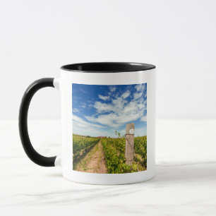 USA, Washington, Walla Walla. Cabernet Sauvignon Mug