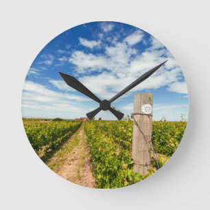 USA, Washington, Walla Walla. Cabernet Sauvignon Round Clock