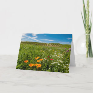 USA, Washington, Walla Walla. Wildflowers Holiday Card