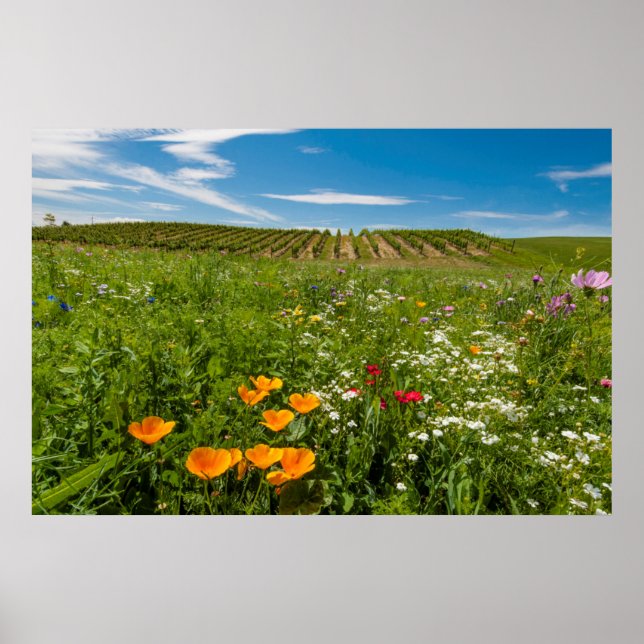 USA, Washington, Walla Walla. Wildflowers Poster (Front)