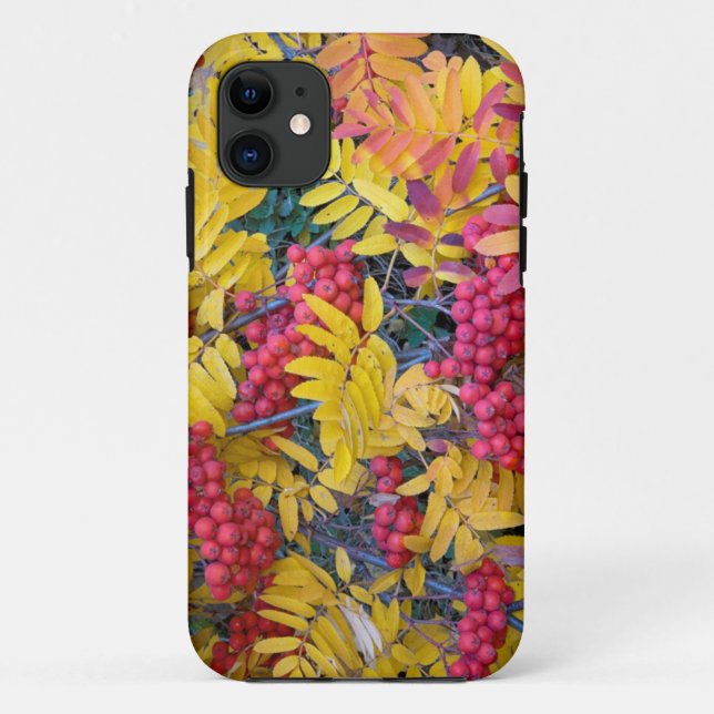 USA, Washington, Western Mountain Ash, Okanogan Case-Mate iPhone Case (Back)
