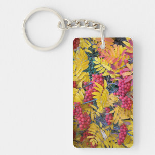 USA, Washington, Western Mountain Ash, Okanogan Key Ring