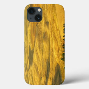 USA, Washington, Whitman County, Palouse, Wheat iPhone 13 Case
