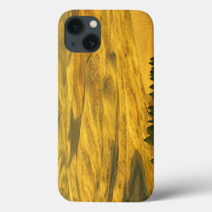 USA, Washington, Whitman County, Palouse, Wheat iPhone 13 Case