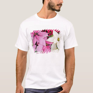 USA, Washington, Woodinville, Molbak's Nursery, 2 T-Shirt