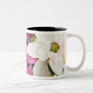 USA, Washington, Woodinville, Molbak's Nursery, 2 Two-Tone Coffee Mug