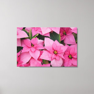 USA, Washington, Woodinville, Molbak's Nursery, 3 Canvas Print