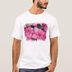 USA, Washington, Woodinville, Molbak's Nursery, 3 T-Shirt